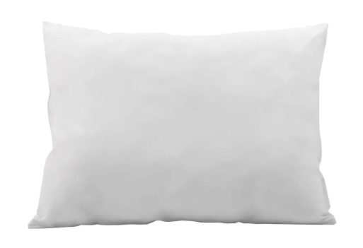 Staph Check Pillows for Prisons and Detention Centers