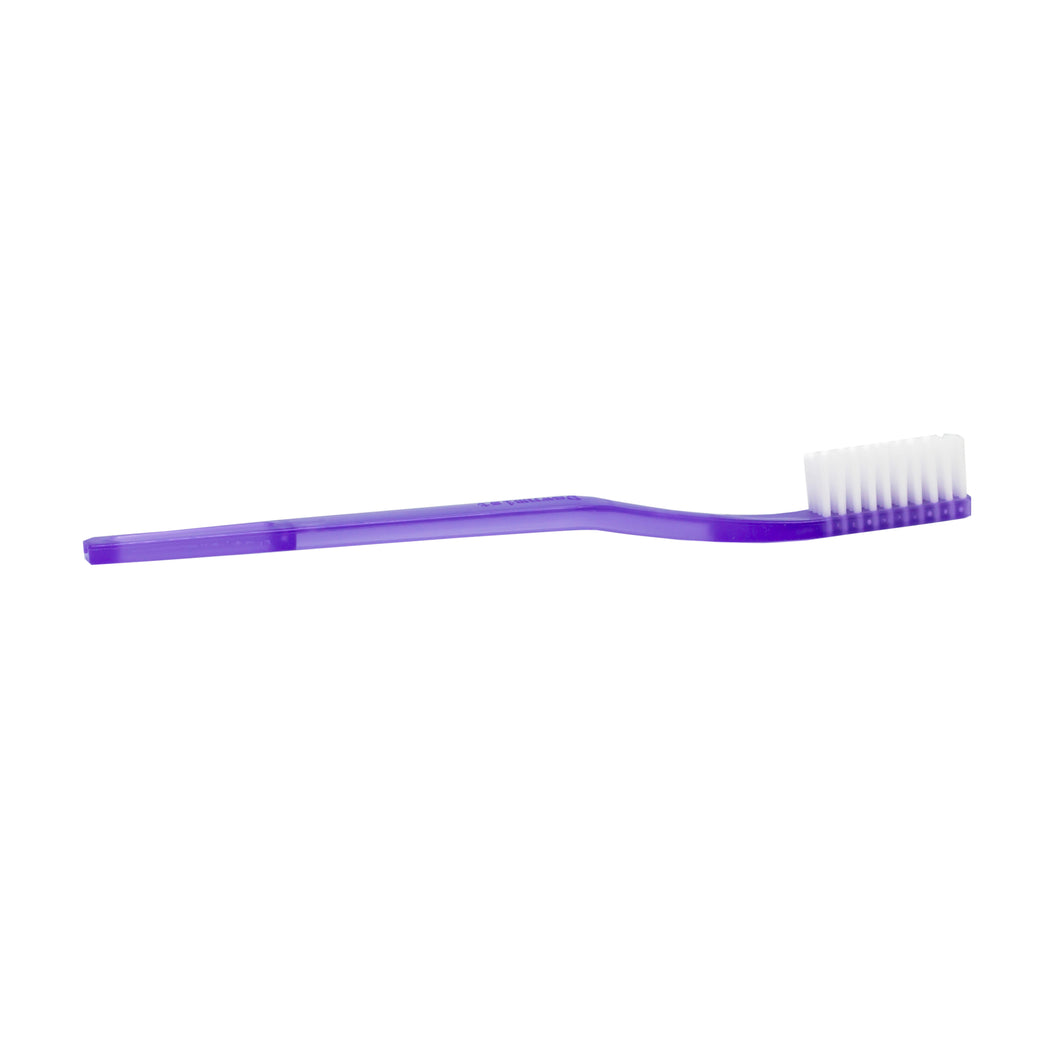 Dawn Mist TB40 39 Tuft White Nylon Bristled Purple Toothbrushes (Case)